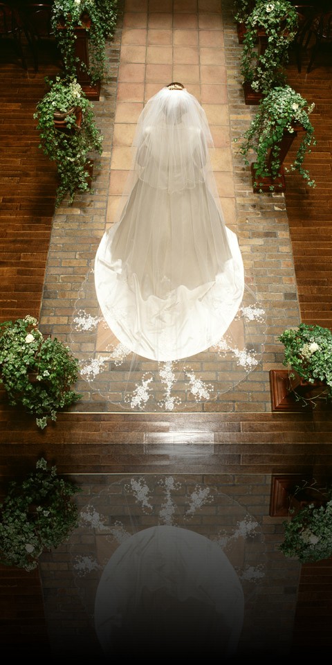 Image 14